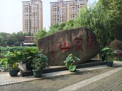 -陈家山荷花公园