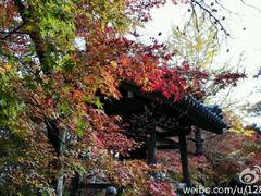 -常寂光寺
