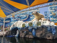 -华夏文旅海洋公园