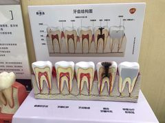 -瑞尔齿科(时代诊所)