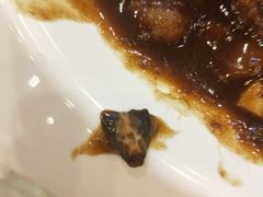 -京北渔家傲