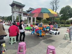 -王借岗森林公园