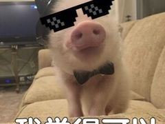 -花海牛火锅(泰合店)