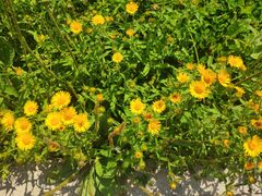 -长春市南湖公园