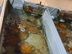 -十八字金·银饰·拼豆·开蚌DIY(魏公芳华里店)