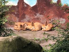 -乐和乐都主题乐园