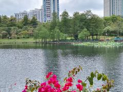 -深圳龙潭公园