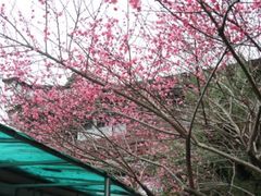 -溪口-滕头旅游景区