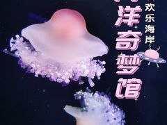-欢乐海岸海洋奇梦馆