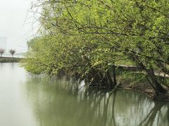 -长兴太湖图影湿地文化园