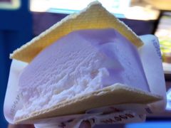 奶砖冰激凌-沃洛格达(万象城n次方店)