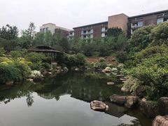 -杭州国际会议中心洲际酒店-原素全日餐厅(解放东路店)