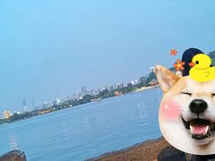 -济南大明湖景区