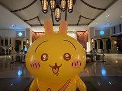 -西双版纳融创皇冠假日度假酒店