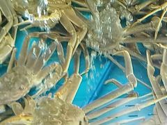 -鲜味食族水产·海鲜餐厅