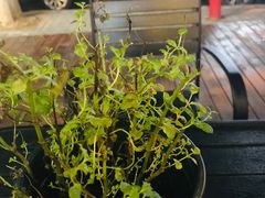 -啊噗吐呦现场烘焙(麦凯乐店)