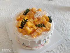 -今日·TODAY手作低脂动物奶油蛋糕定制(高新万达店)