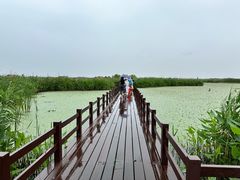 -宁波杭州湾国家湿地公园