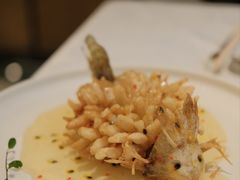 精灵松鼠桂鱼-海味观(老西门店)