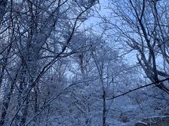 -崂山巨峰游览区