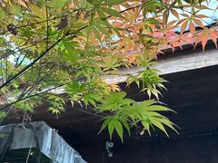 -都氏家DUSJOY(翡翠城店)