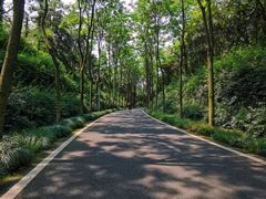 -宜兴龙背山森林公园