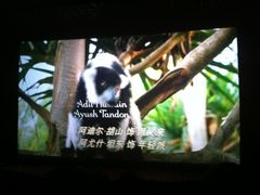 放映厅-金逸影城(哥伦布店)