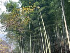 -黄公望隐居地