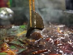 鸭血-星鸿社重庆老火锅