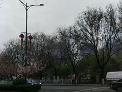 -陕西自然博物馆