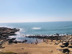 -广东惠东海龟国家级自然保护区