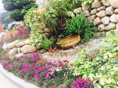 -厦门市蔡塘学校