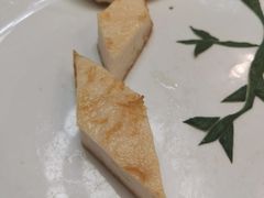 -丁老爷子苏香圆