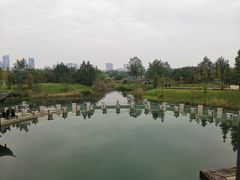 -眉山湿地公园(东坡区)