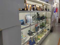 -斯坦星球AI编程·机器人科创·科学实验·信奥·思维·STEM·积木拼搭·竞赛考级(浦东联洋广场大拇指龙阳御桥中心)