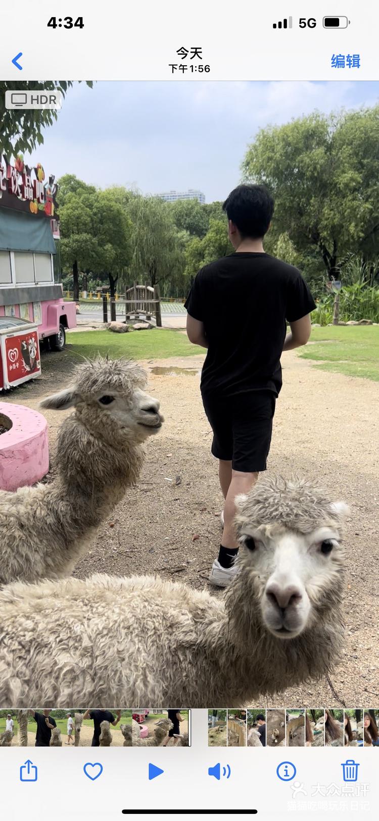 诡异动物园完整版图片