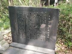 -上海佘山国家森林公园天马山园