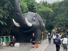 -野象谷景区