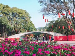 -云溪植物园
