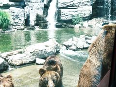 -北京野生动物园