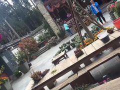 -寂照庵