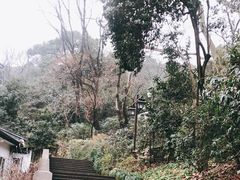 -吴山景区