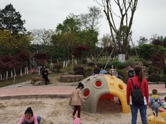 -铁山坪森林公园