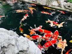 -金海华·华宴江南(斜塘店)