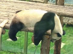 -大连森林动物园