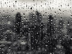 -鱼酷活鱼烤鱼(恒隆广场店)