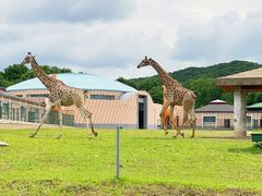 -哈尔滨北方森林动物园