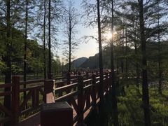 -广州市石门国家森林公园