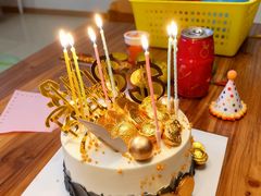 -维尔纳斯·生日蛋糕·动物奶油冰淇淋蛋糕(雨花店)