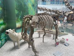 -中国地质大学逸夫博物馆